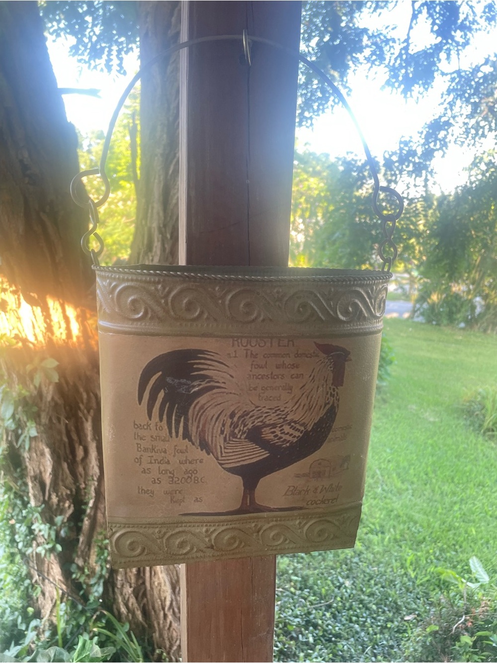 Rooster Farmhouse Embossed Metal Ganging Wall Pocket Basket with Handle
